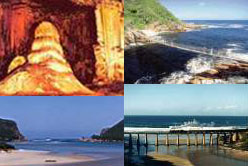 Cape Town Tours Garden  Route